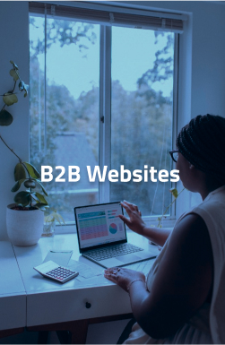 B2B Website Development company