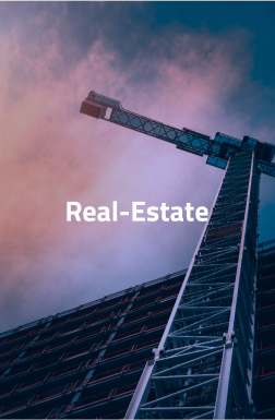 Real Estate Website Development company